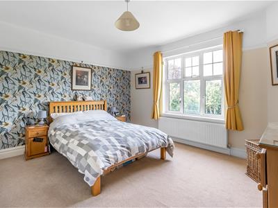 Picture 23